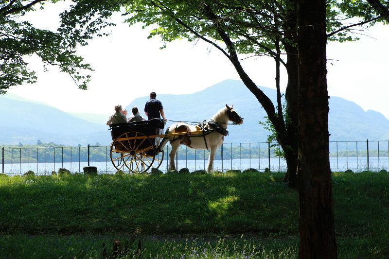 Lake Lodge Guesthouse คิลลาร์นีย์ ภายนอก รูปภาพ