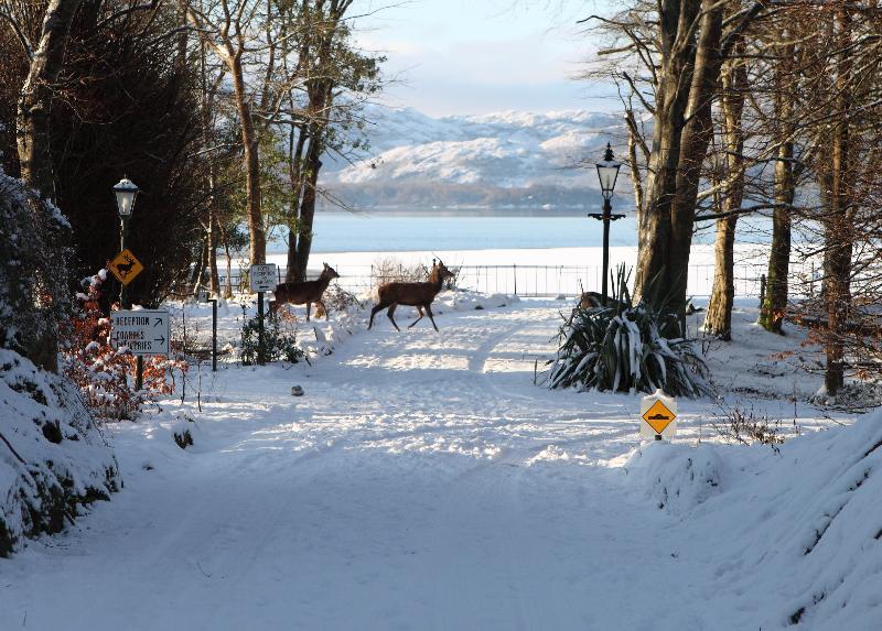 Lake Lodge Guesthouse คิลลาร์นีย์ ภายนอก รูปภาพ